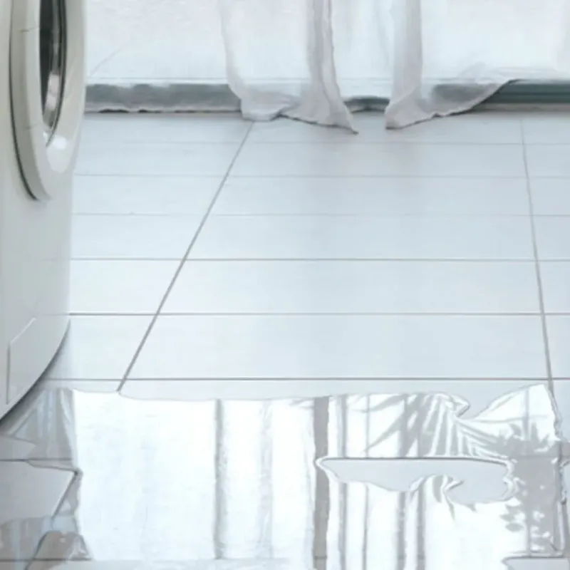 Appliance Leak Cleanup in Colleton County, SC