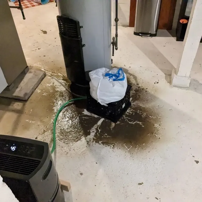 Sewage Backup Cleanup Service in Colleton County, SC
